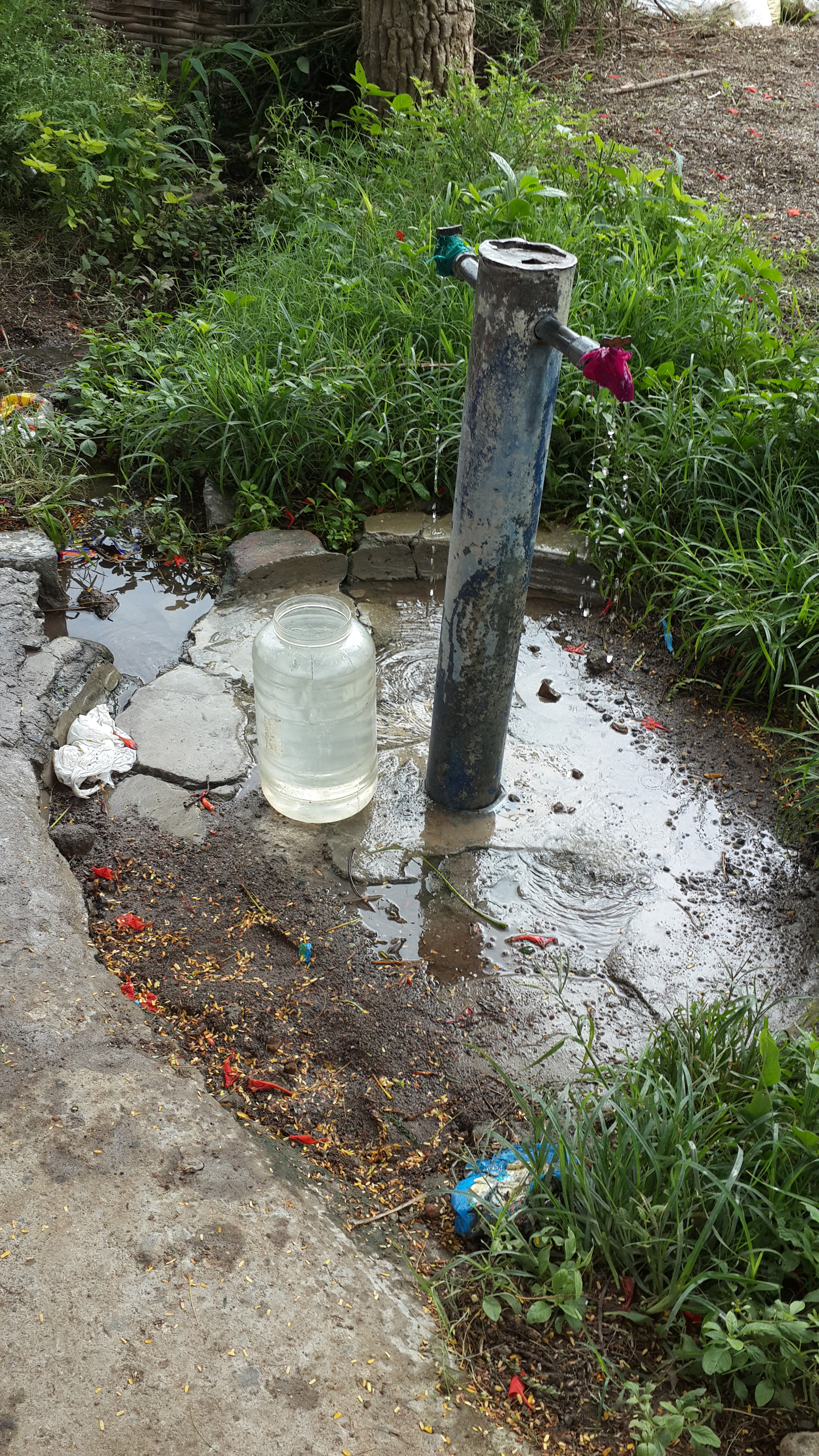 Photo shows a public water standpipe in rural India. Researchers from three continents are working to develop a new environmental crowdsourcing technique to test such water for bacterial contamination. (Photo: Andy Loo)