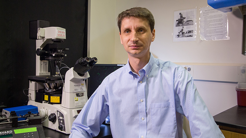 Alexander Alexeev, an assistant professor in Georgia Tech’s George W. Woodruff School of Mechanical Engineering, is an expert in fluid mechanics and a co-author on the study. Credit: Maxwell Guberman.
