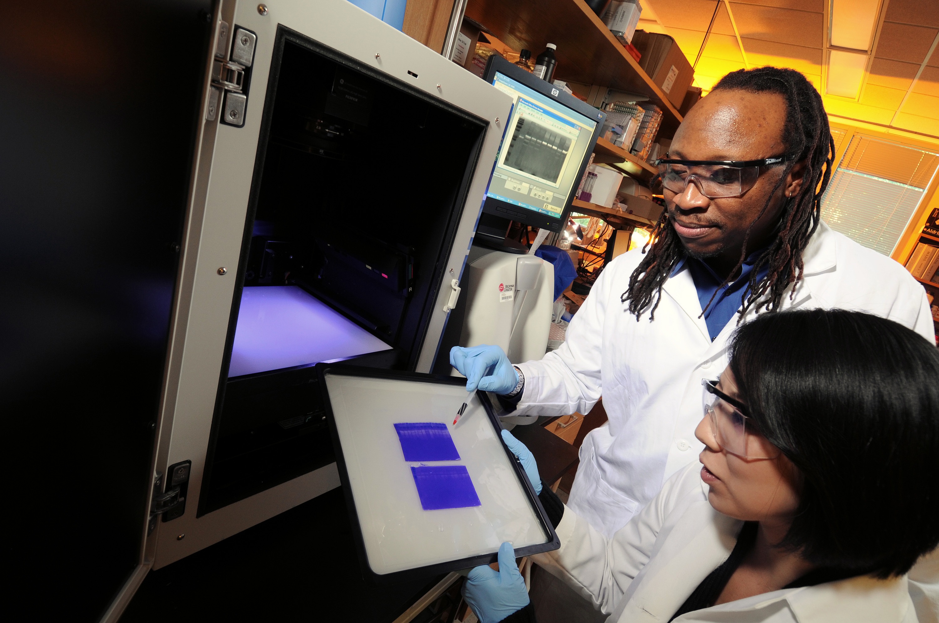 Georgia Tech/Emory University biomedical engineering associate professor Manu Platt (standing) and graduate student Keon-Young Park examine gels that display the activity levels of cathepsins, which are protein-degrading enzymes. In a new study, the researchers are studying levels of cathepsins and other signaling chemicals in an effort to predict the invasiveness of breast cancer in individual patients. (Credit: Gary Meek, Georgia Tech)