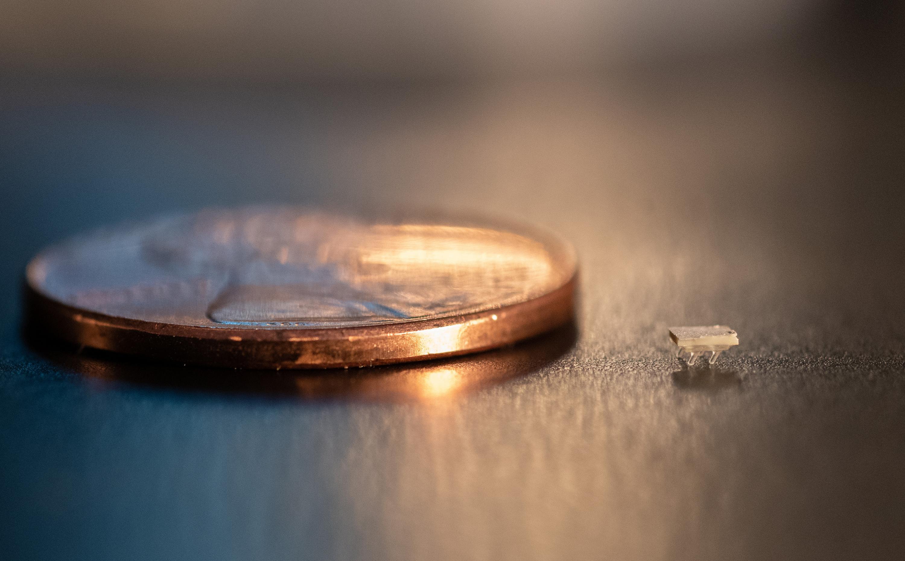 A micro-bristle-bot is shown next to a U.S. penny for size comparison. (Photo: Allison Carter)