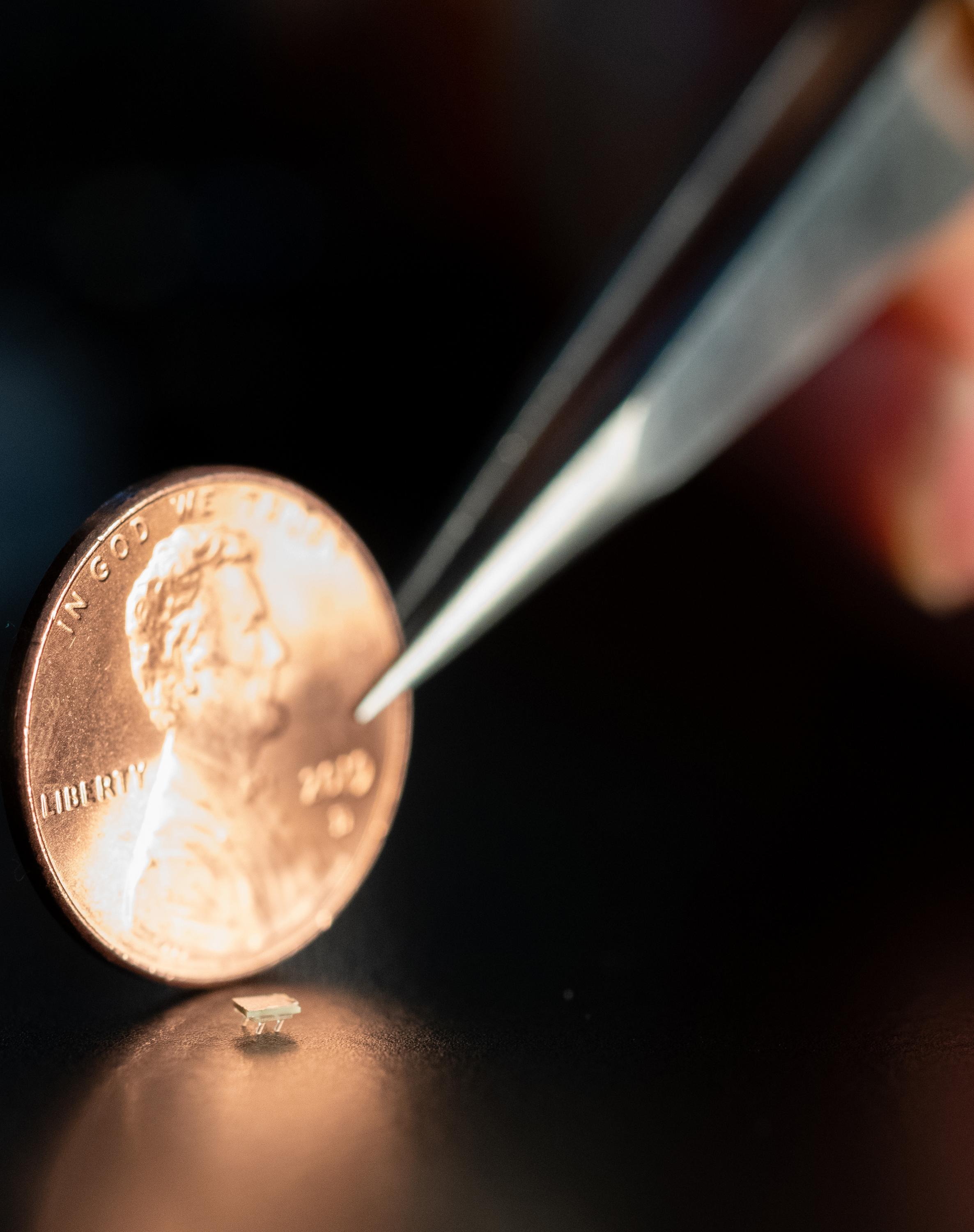 A micro-bristle-bot is shown next to a U.S. penny for size comparison. (Photo: Allison Carter)