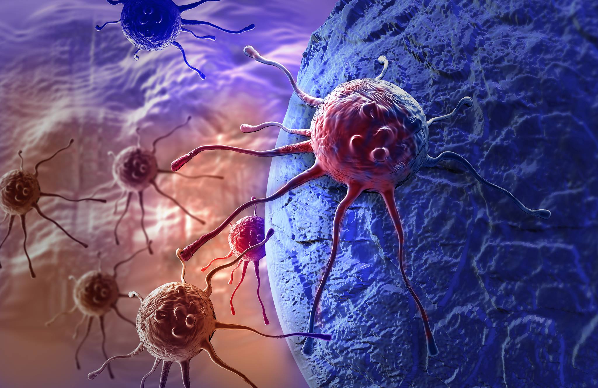 Artist rendering of cancer cells wandering. Credit: Purchased from iStock to illustrate this story. Rights not transferable. 