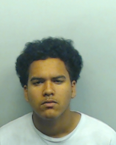 Carlos Del Rio was arrested and charged with strong armed robbery and criminal attempt to commit strong armed robbery on Tech's campus.