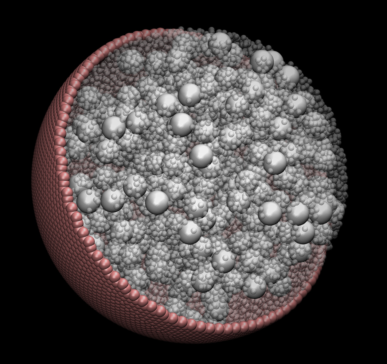 A visualization of one of the model cells simulated by researchers at the Georgia Institute of Technology. The work shows that particles linger near cells walls, and that motion inside cells is slowed. (Courtesy of Edmond Chow)