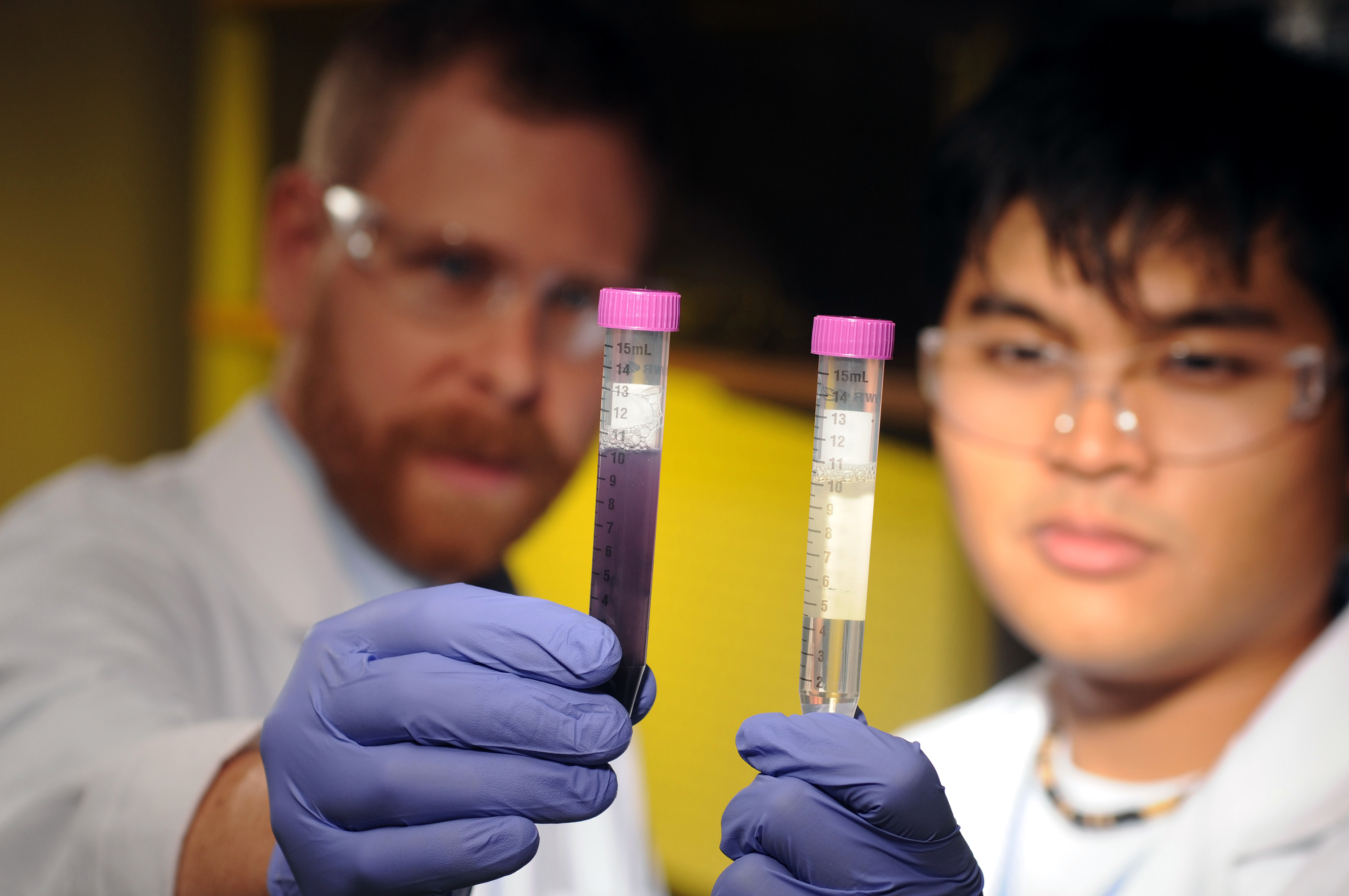 A three-continent research consortium is evaluating a novel environmental crowdsourcing technique that relies on inexpensive tests kits that turn purple in the presence of bacterial contamination. Shown with the test kits are Georgia Tech Assistant Professor Joe Brown (left) and Graduate Research Assistant Andy Loo. (Photo: Gary Meek)