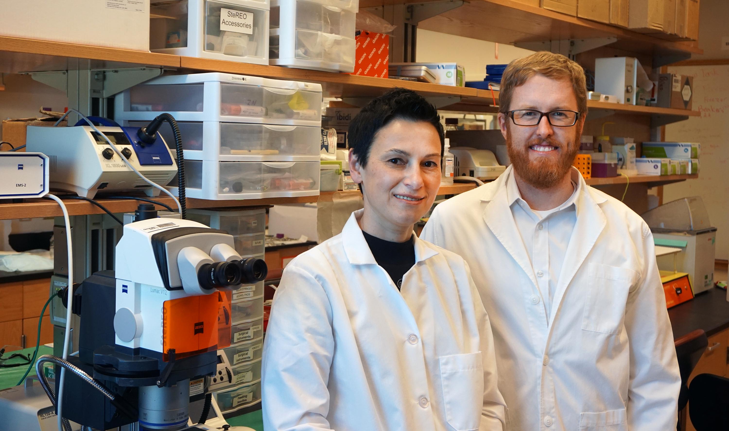 Brandon Dixon, researcher in the School of Mechanical Engineering, with Dr. Zhanna Nepiyushchikh in the lab. 