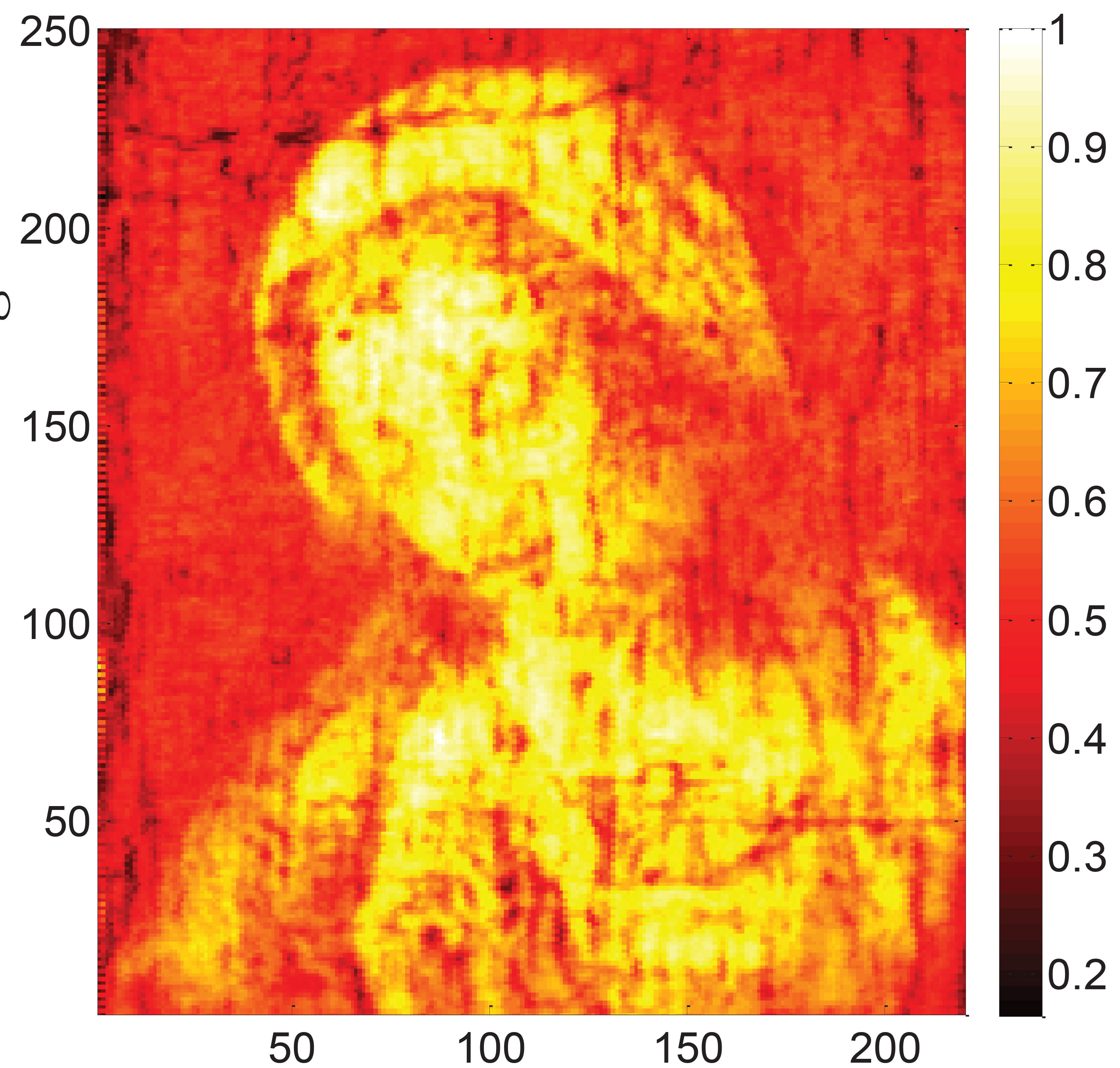 This image shows reflected raw terahertz signals measured across the painting. (Courtesy of David Citrin)