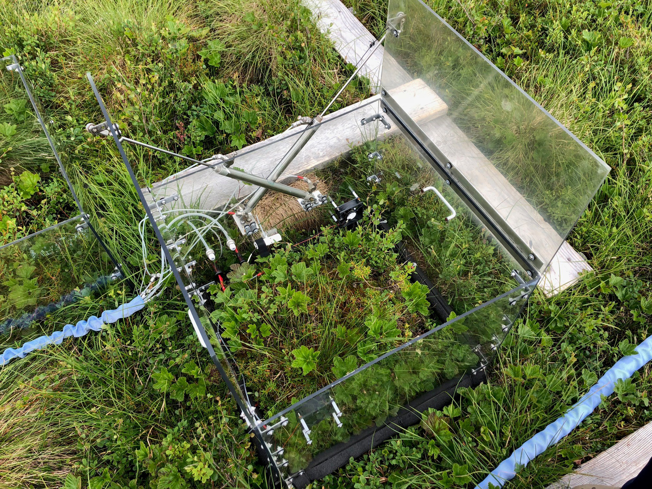 Cumulative respiration from the tundra microbial communities was sampled during the month following removal of the soil cores. (Photo: Professor Ted Schuur, Northern Arizona University)