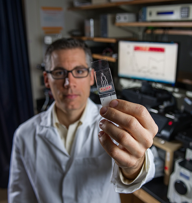 Craig Forest, an assistant professor of bioengineering in the George W. Woodruff School of Mechanical Engineering at Georgia Tech, holds the microfluidic chip used in the study. The chip has narrow passageways to simulate the coronary arteries. Credit: Rob Felt.