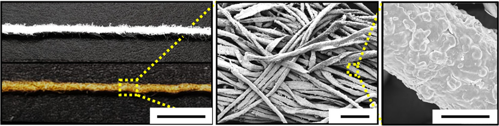 Image shows plain cotton fibers and metallic cotton fibers used as electrodes in a new biofuel cell. (Credit: Georgia Tech/Korea University)