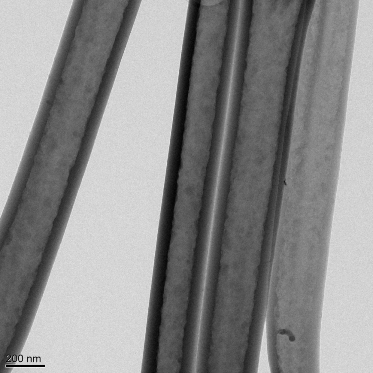 This transmission electron microscope image shows four polymer nanofibers with hollow structure. The thickness of the walls of the tubes ranged from 40 to 80 nanometers, depending on the amount of current applied and the growth time. (Credit: Ye Cai)
