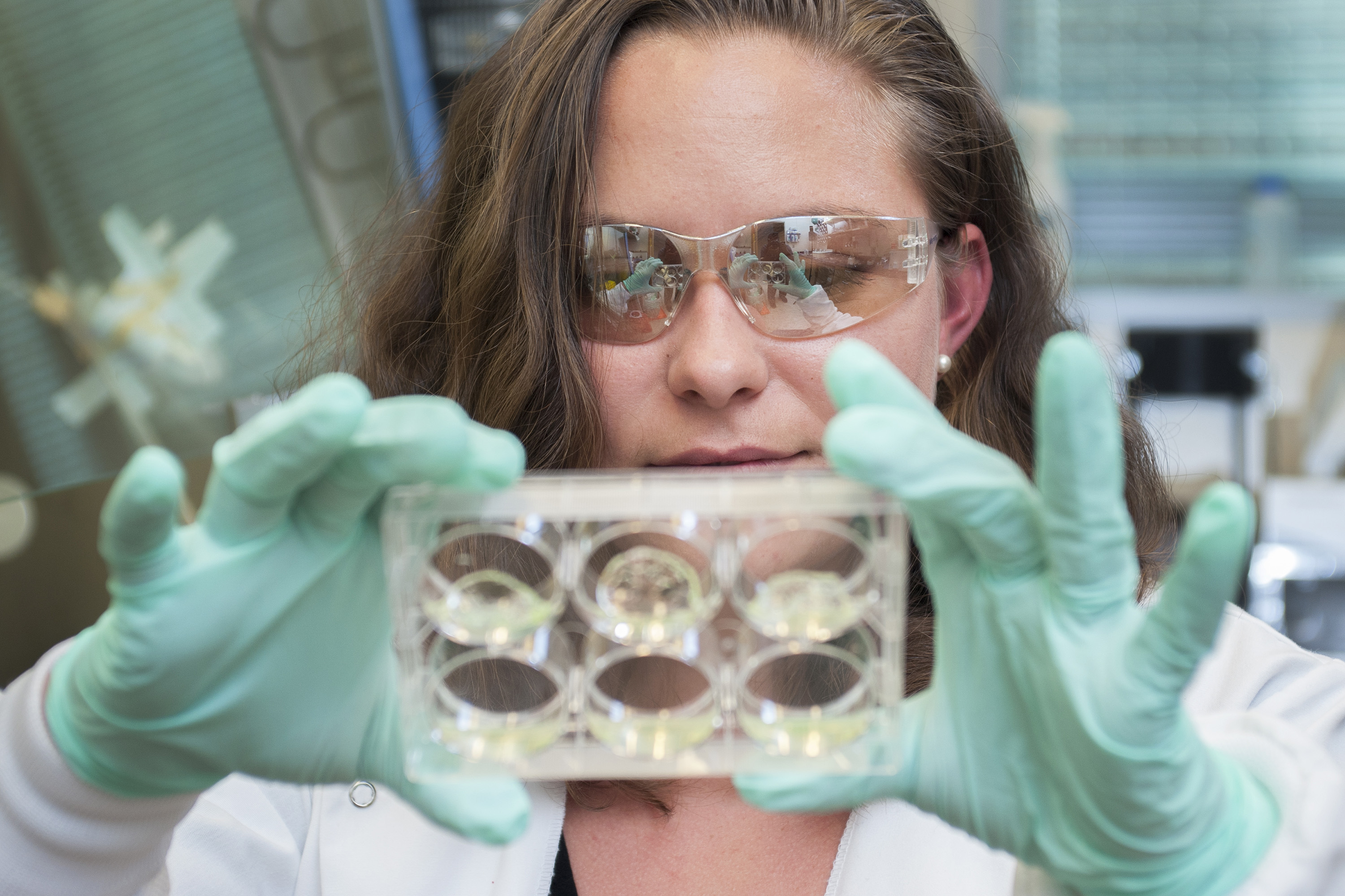 Jessica Weaver, a postdoctoral researcher in Georgia Tech’s Woodruff School of Mechanical Engineering, holds a multiwell plate containing hydrogels with pancreatic islet cells. (Credit: Christopher Moore, Georgia Tech)