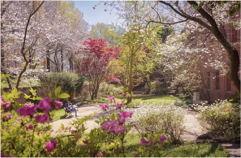 The Mayer Garden is located on Cherry Street near the Smith and Chapin buildings.
