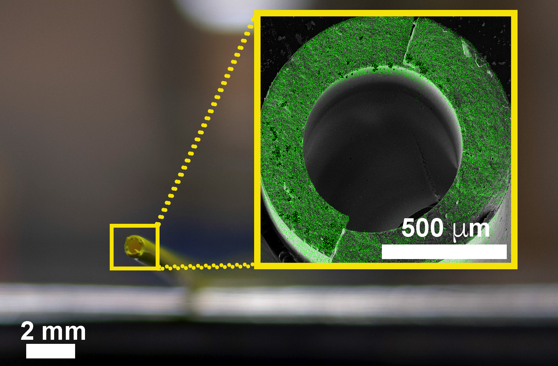 This image shows an elemental map collected with electron microscopy of a fractured cross-section of hybrid hollow fiber membrane with a radius of about 500 μm. Green dots signify locations of the metal oxide within the membrane. This image shows that metal oxide infuses throughout the entire membrane. Microscopy was done by Fengyi Zhang at Georgia Tech’s Materials Characterization Facility.