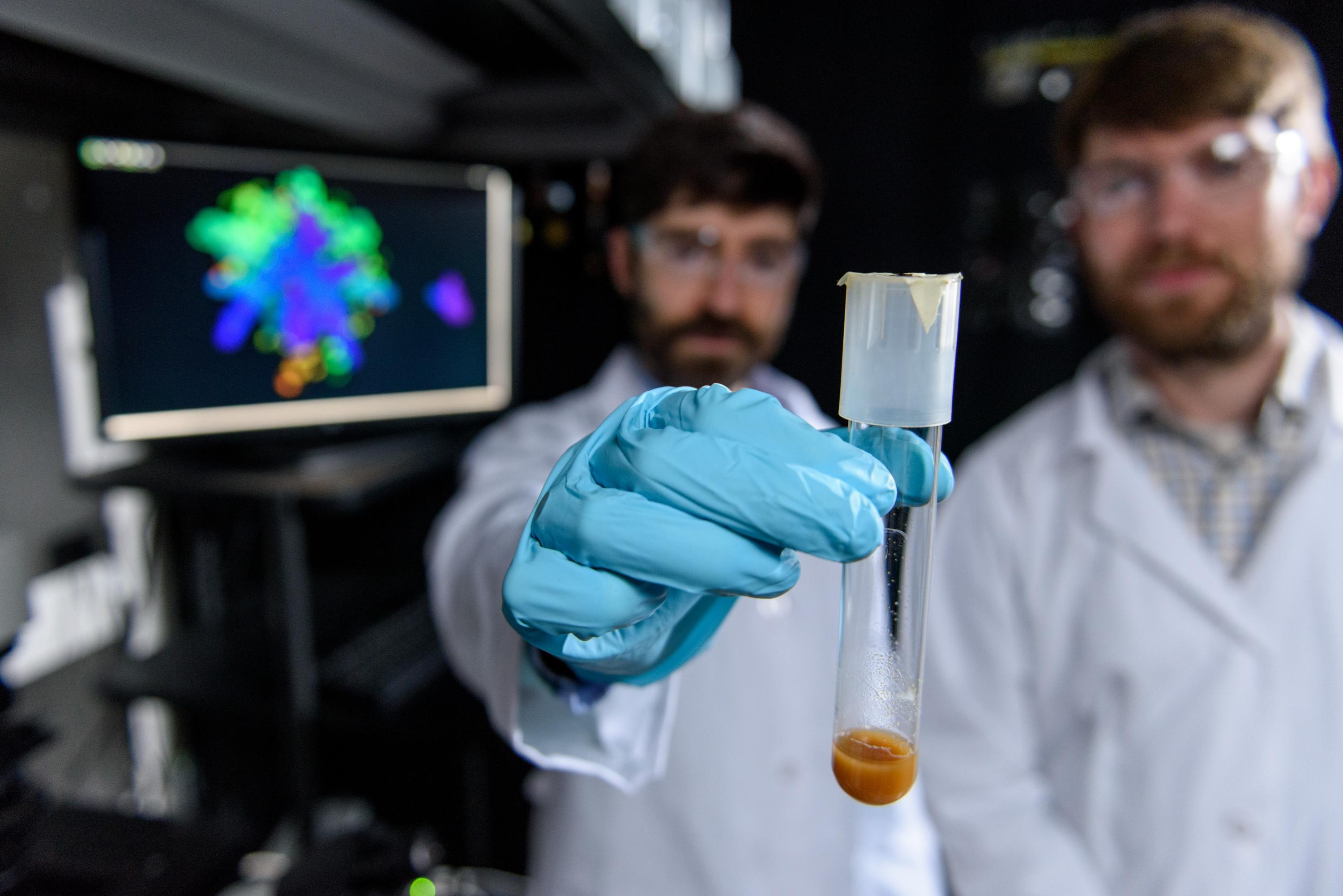 Physicist Peter Yunker and evolutionary biologist Will Ratcliff in Yunker's lab at Georgia Tech. Yunker holds a sample of nascent multicellular yeast clusters used in the experiments. Credit: Georgia Tech / Rob Felt