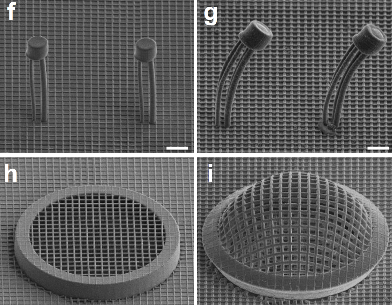 Structures in a new architected material change shape when a very low current is applied. Left is before current is applied, right is after. Credit: CalTech