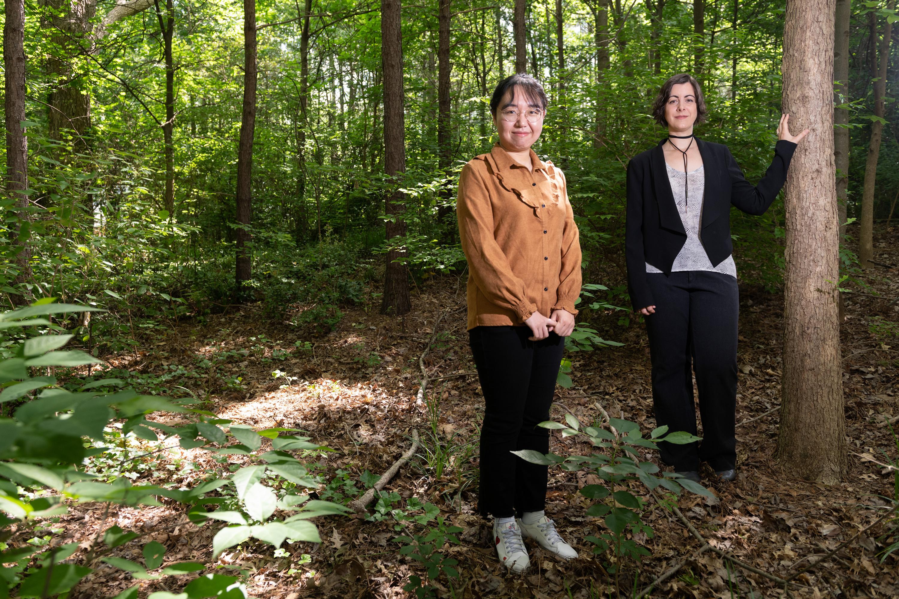 Georgia Tech Postdoctoral Fellow Yue Wang and Assistant Professor Jenny McGuire are studying pollen sample data from across the North American continent to develop improved strategies for conserving biodiversity. (Credit: Allison Carter, Georgia Tech)
