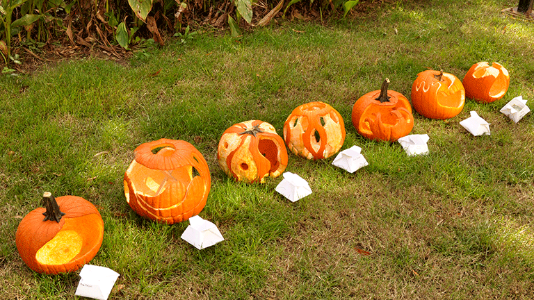Finished Pumpkins from Industrial Design students (2017)