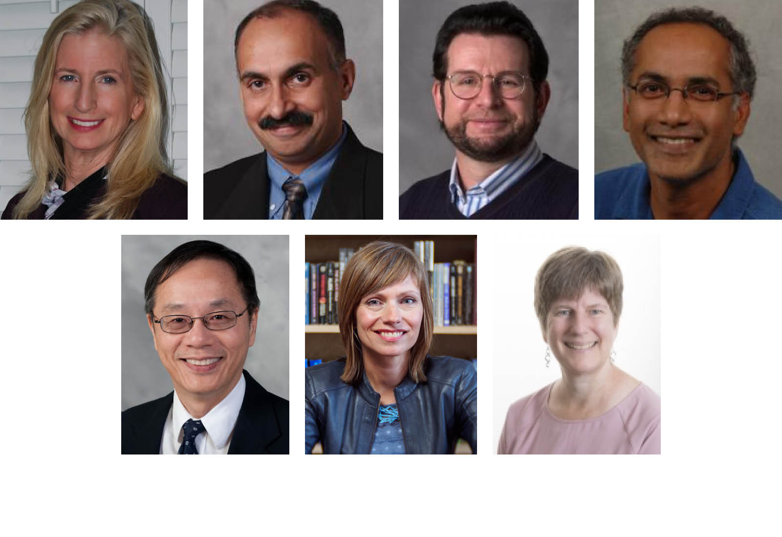 Marilyn Brown, Suresh Sitaraman, Jeffrey Skolnick, Prasad Tetali, Vigor Yang, Lisa Yaszek, and Ellen Zegura