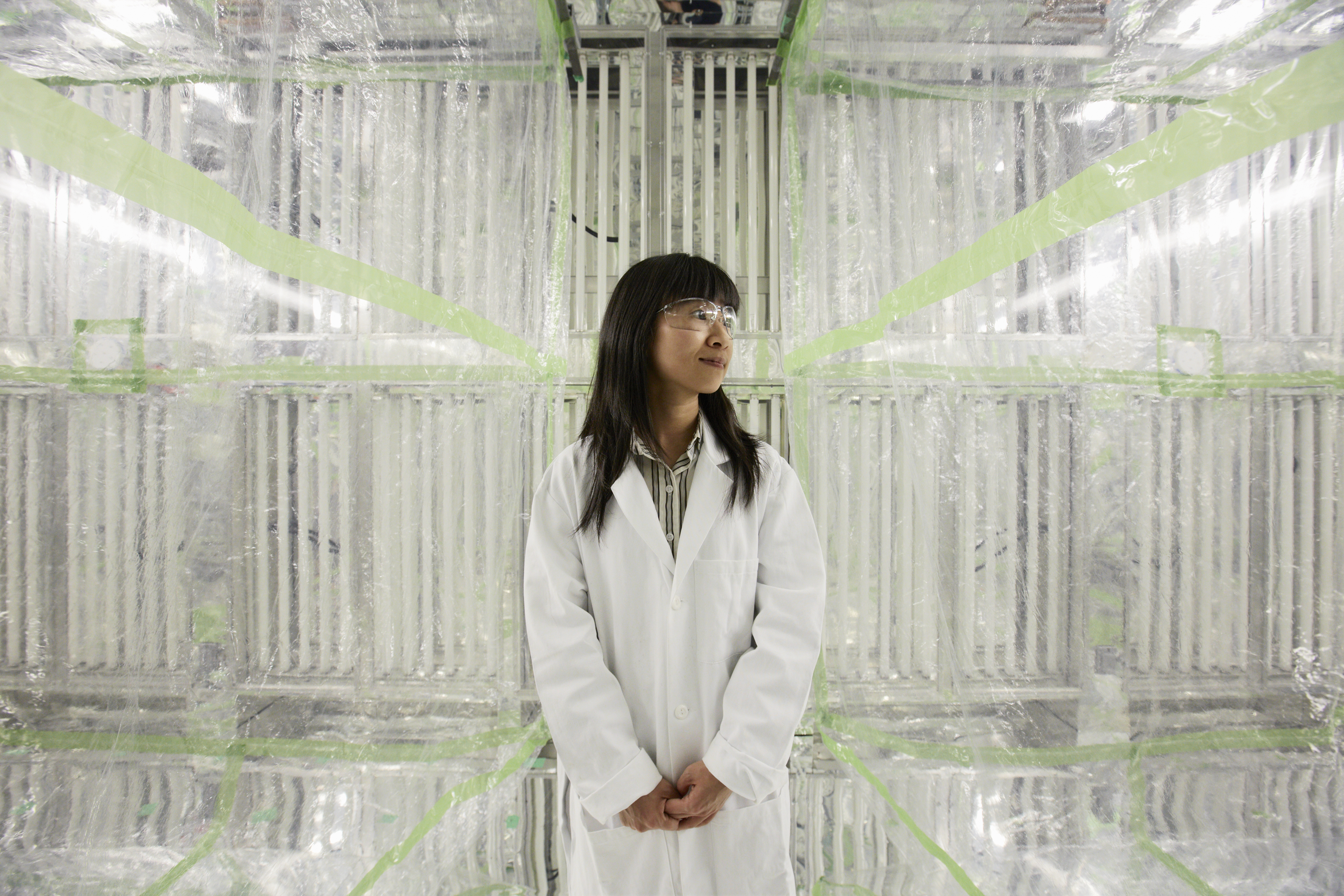 Sally Ng, an assistant professor in Georgia Tech’s School of Chemical and Biomolecular Engineering and School of Earth and Atmospheric Sciences, stands inside the Georgia Tech Environmental Chamber Facility.