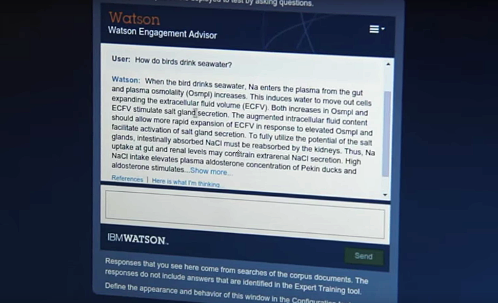 Screen shot of Georgia Tech's Watson system.