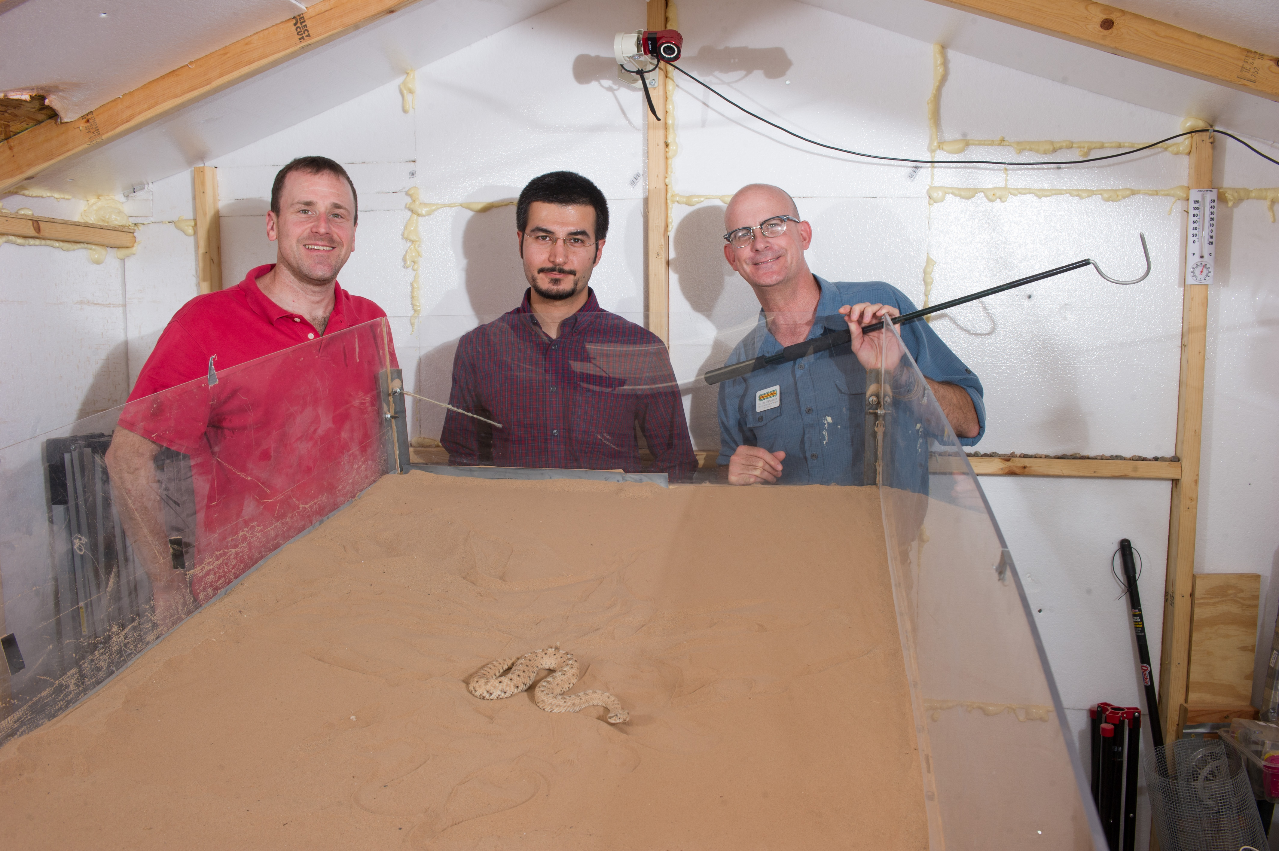 Researchers studied sidewinder snakes to understand the unique motion they use to climb sandy slopes. Shown (l-r) are Dan Goldman of Georgia Tech, Hamid Marvi of Carnegie Mellon and Joe Mendelson of Zoo Atlanta. (Credit: Rob Felt)