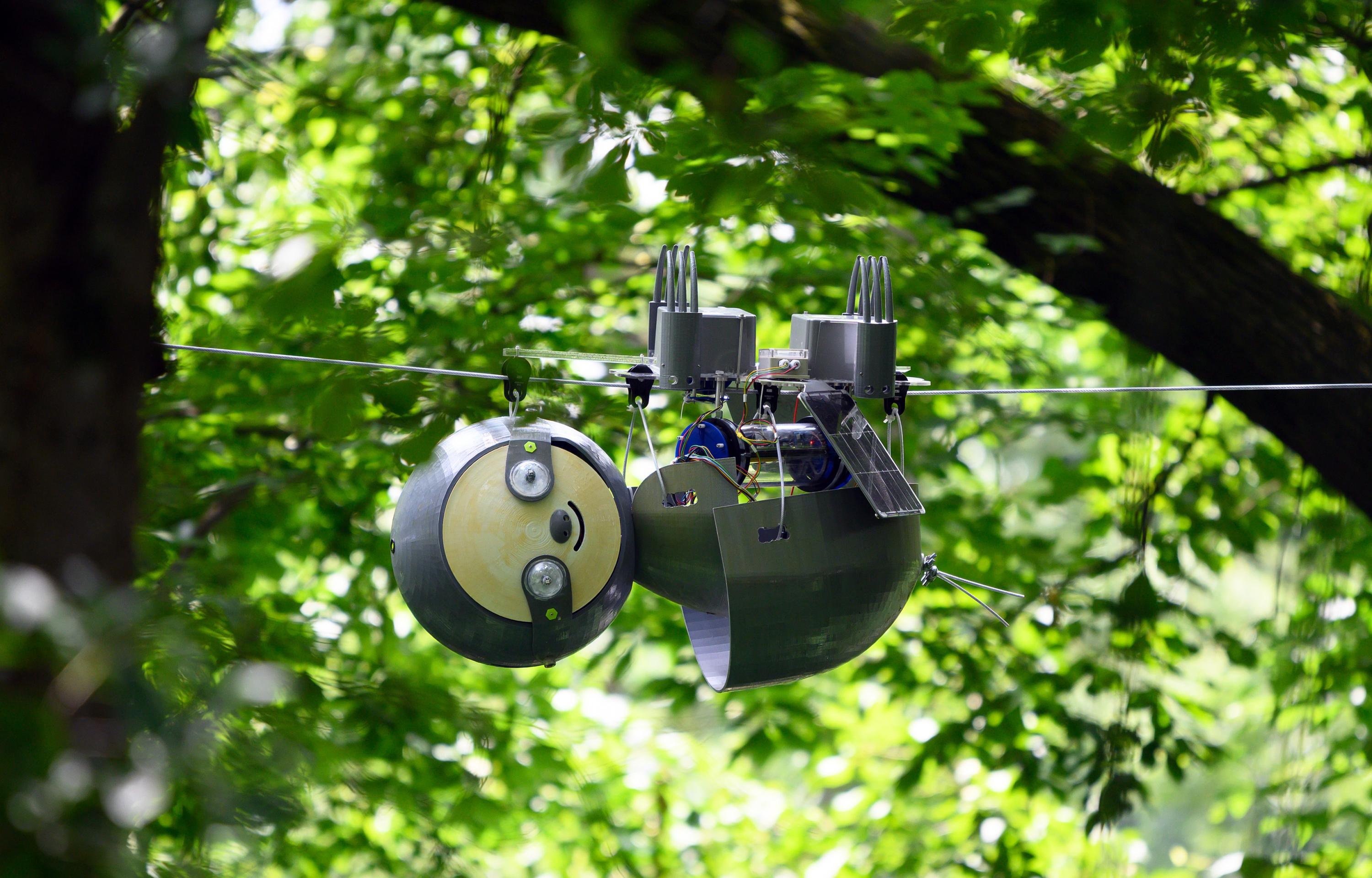 SlothBot is a slow-moving and energy-efficient robot that can linger in the trees to monitor animals, plants, and the environment below. It has been installed for testing in the Atlanta Botanical Garden. (Credit: Rob Felt, Georgia Tech)