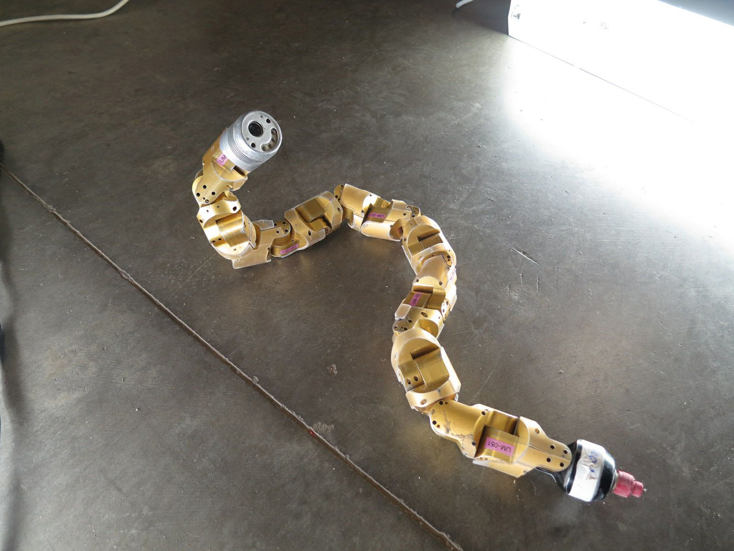Researchers used what they learned from observations of sidewinder snakes to improve the operation of this snake robot, which was developed at Carnegie Mellon University. (Courtesy Carnegie Mellon University)