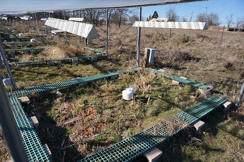 Soil plots that were heated to simulate the rise in temperatures forecast by climate models. The radiators (top) warm the plots 2 degrees Celsius. (Credit: Mengting Yuan, U. of Oklahoma)