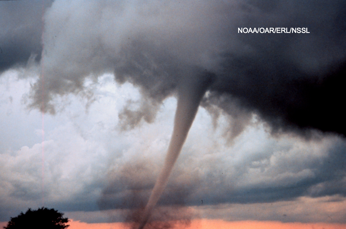 NOAA stock press handout image of a tornado. Please credit: NOAA/OAR/ERL/NSSL. To be used in turbulence story. (Do not use out of context.)