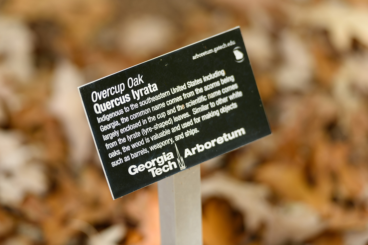 Georgia Tech's Arboretum signage helps identify and learn about the various species on campus
