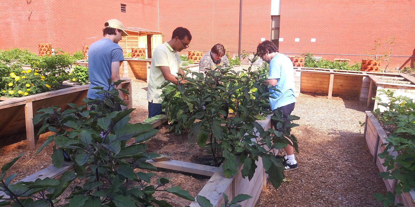 Community Garden