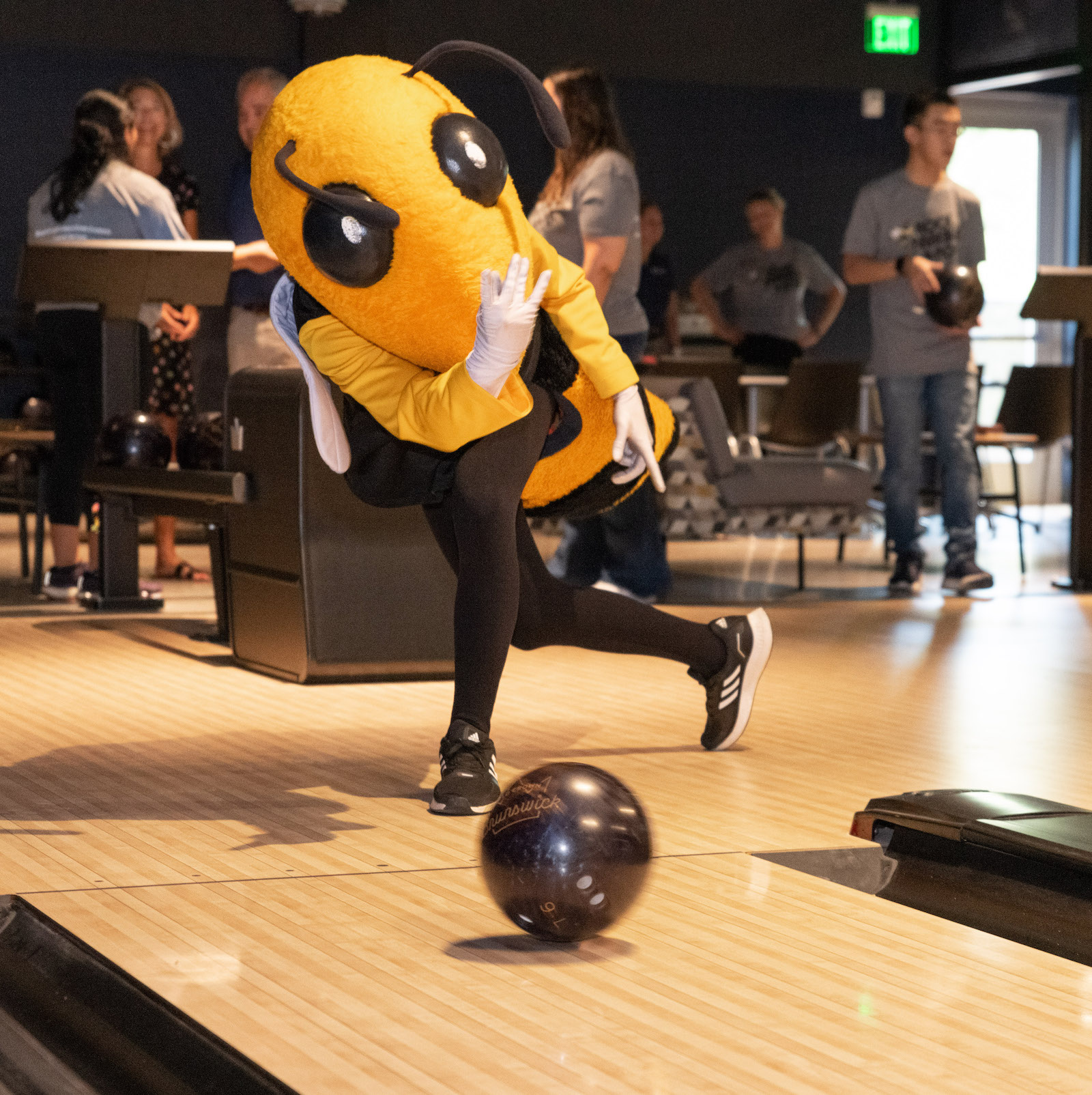 Buzz Bowling