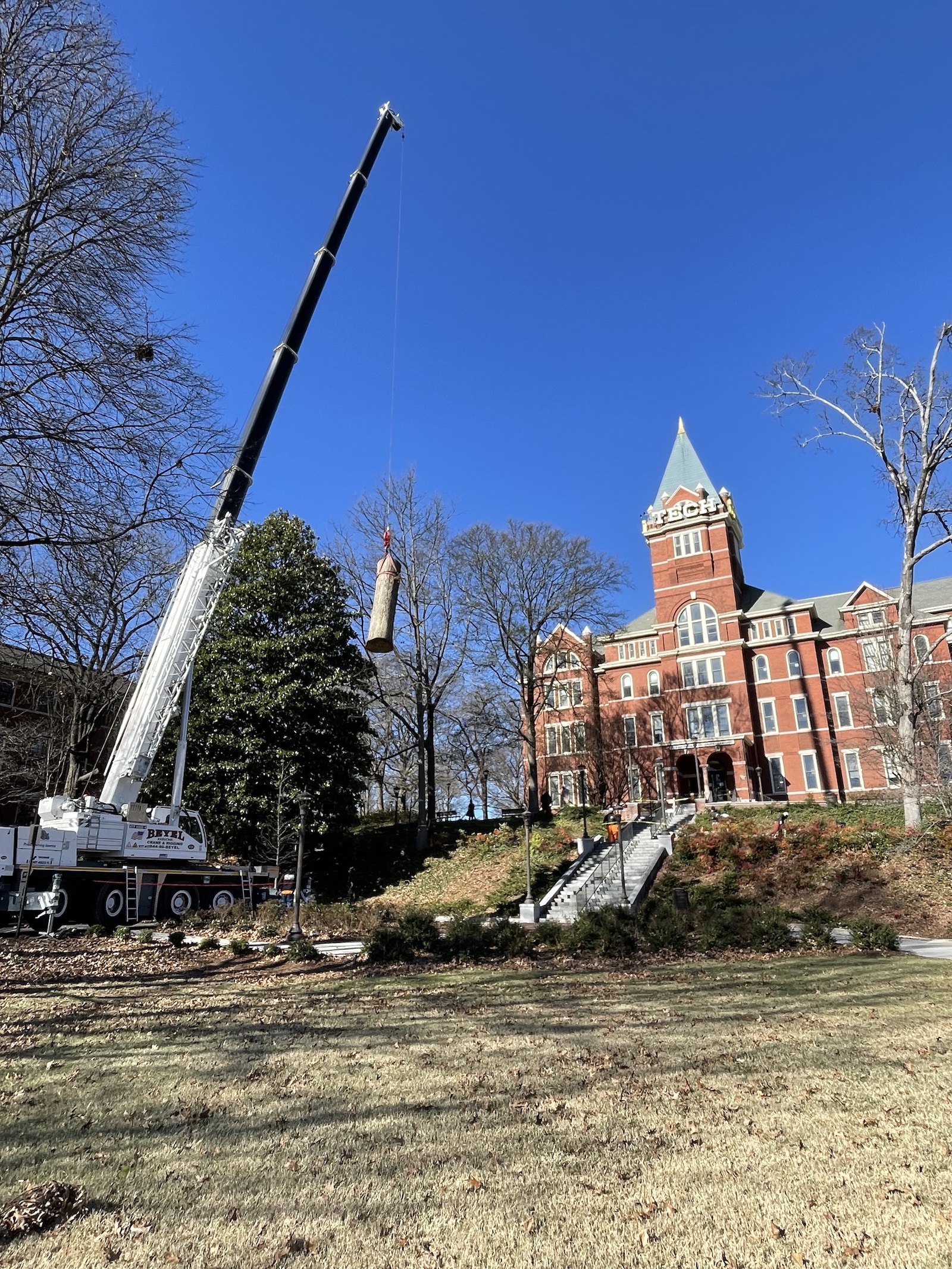 Tree removal at Tech Tower