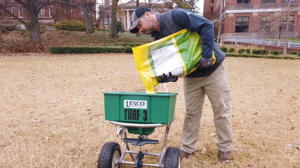 Water, air, and food are the three things your grass needs