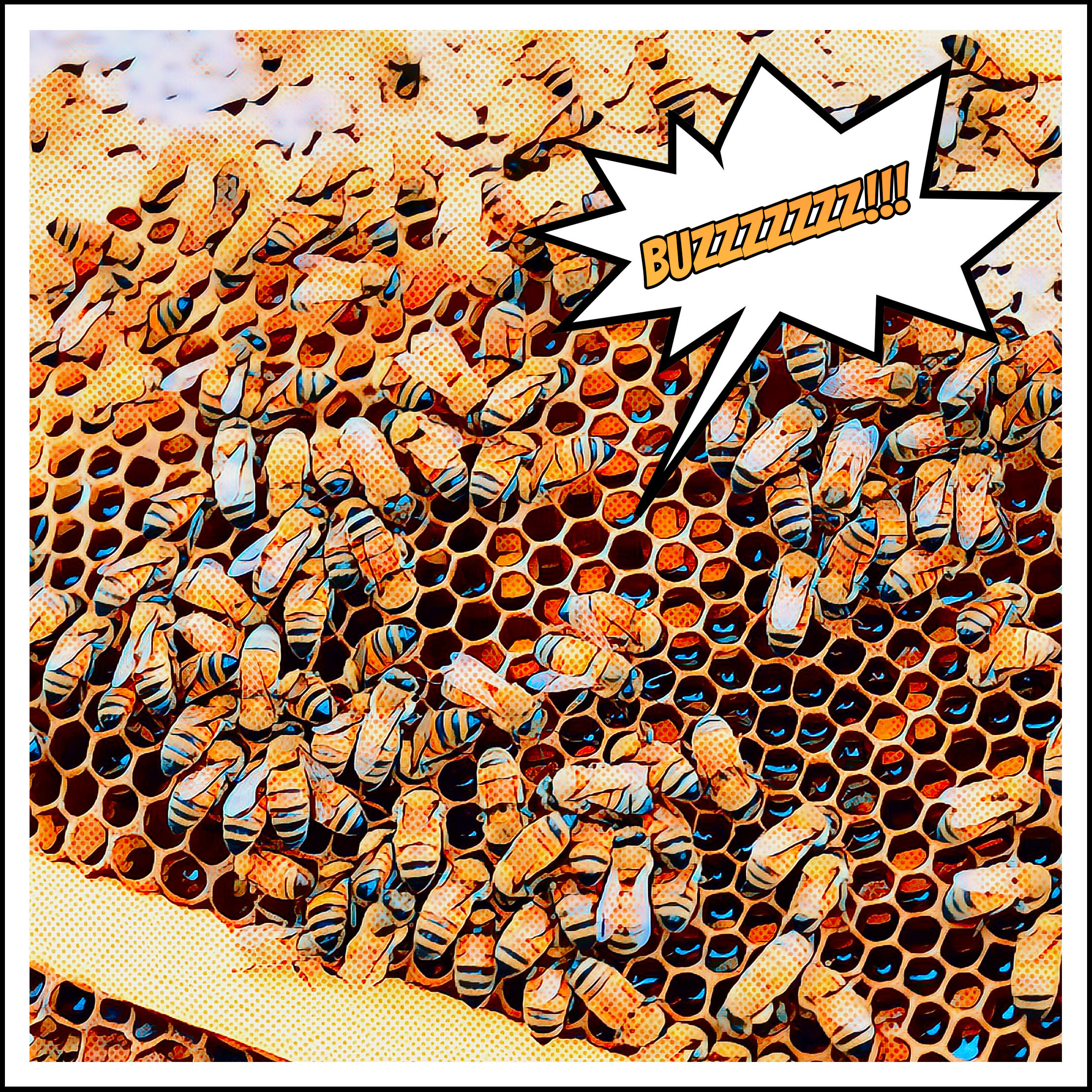 Comic style graphic of bees on a hive.