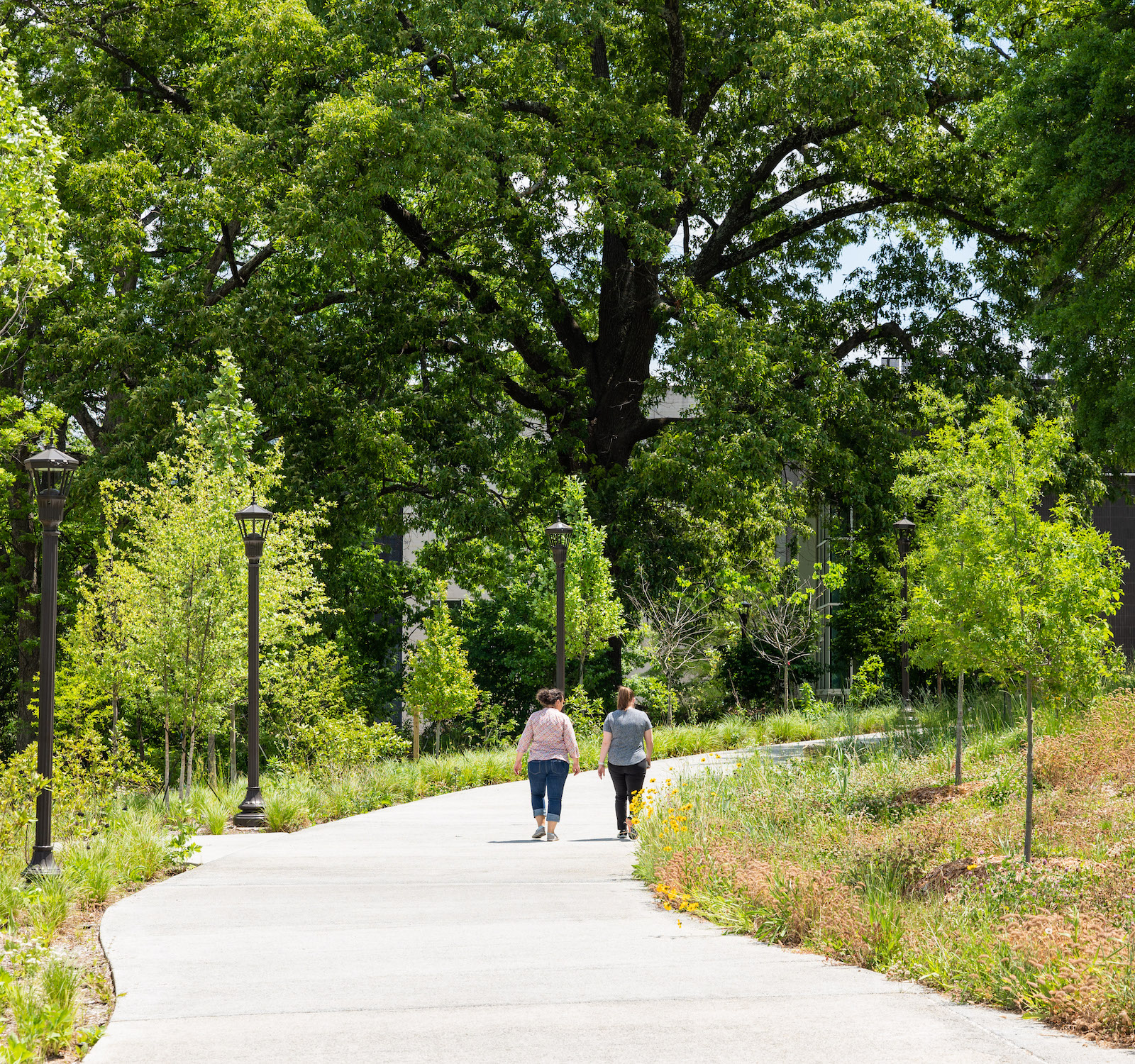 The EcoCommons, a lush greenspace along Ferst Drive, has wide pathways for walking.
