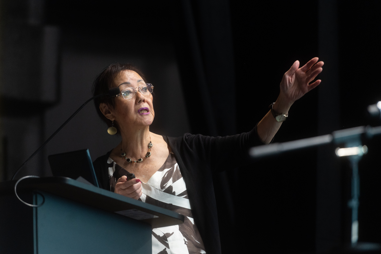 Speaker Evelyn Hu-DeHart at the 2022 Diversity Symposium