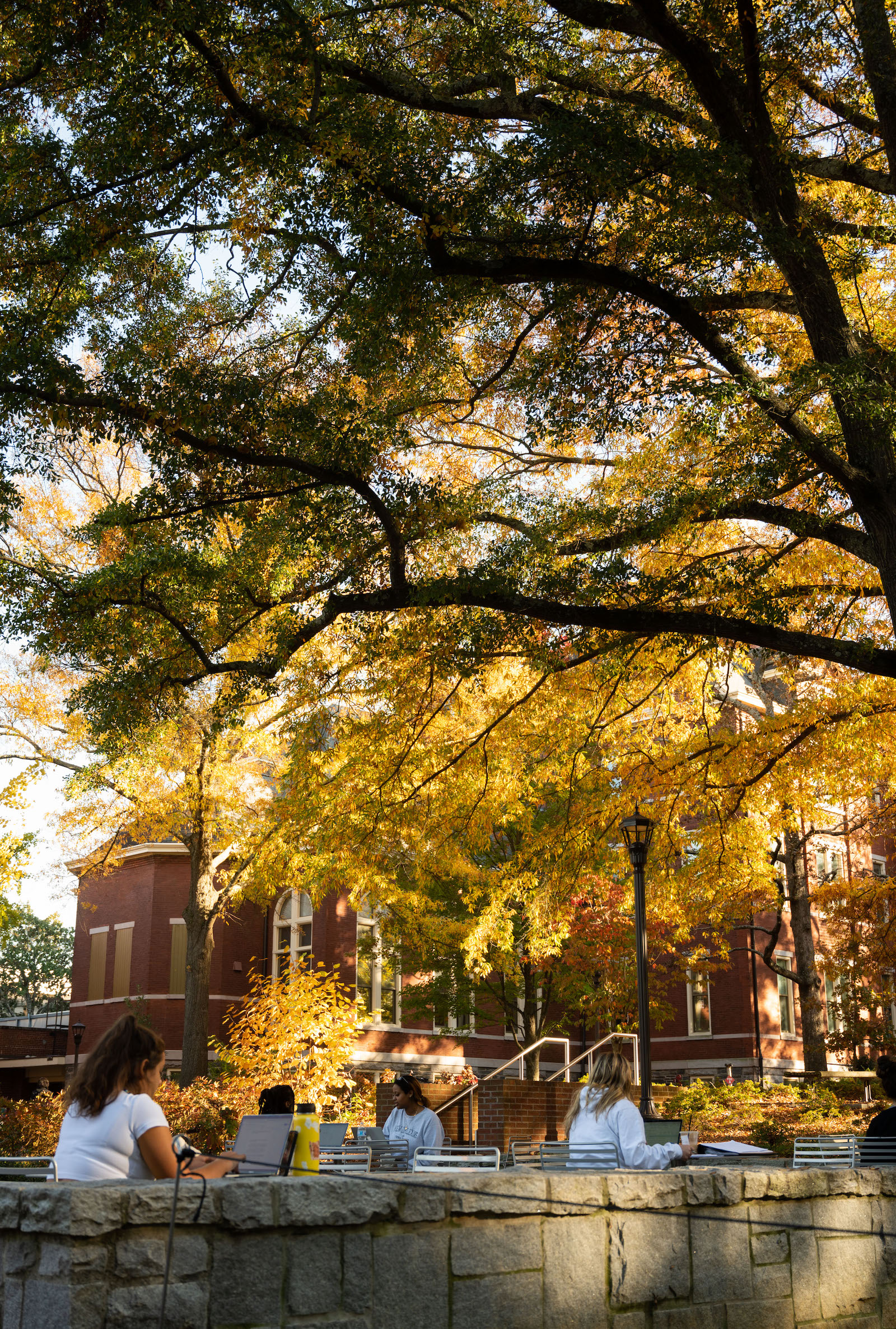 Students sitting in Harrison Square under fall foliage