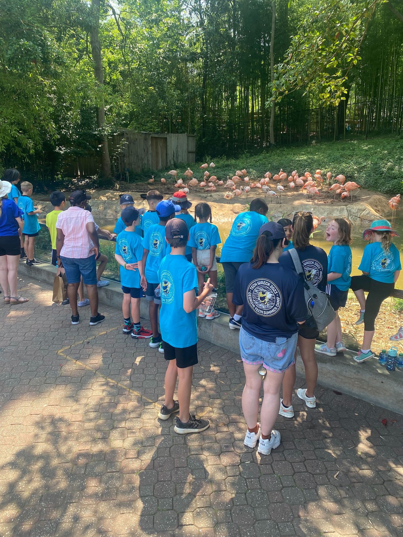 Tech Wreck at Zoo Atlanta with flamingos.