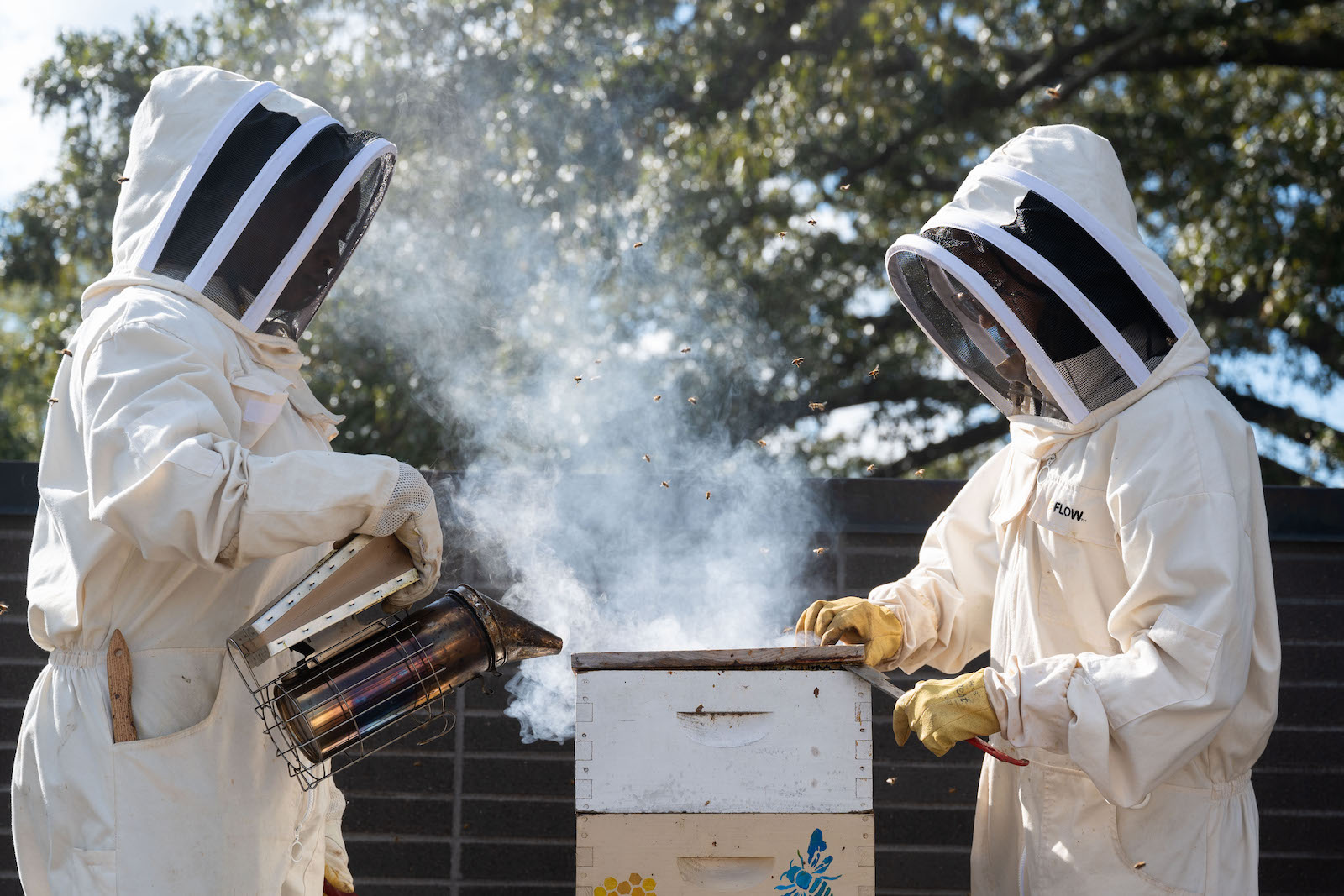 Beekeeper in residence, Janelle Dunlap, with bees on top of the Kendeda Building