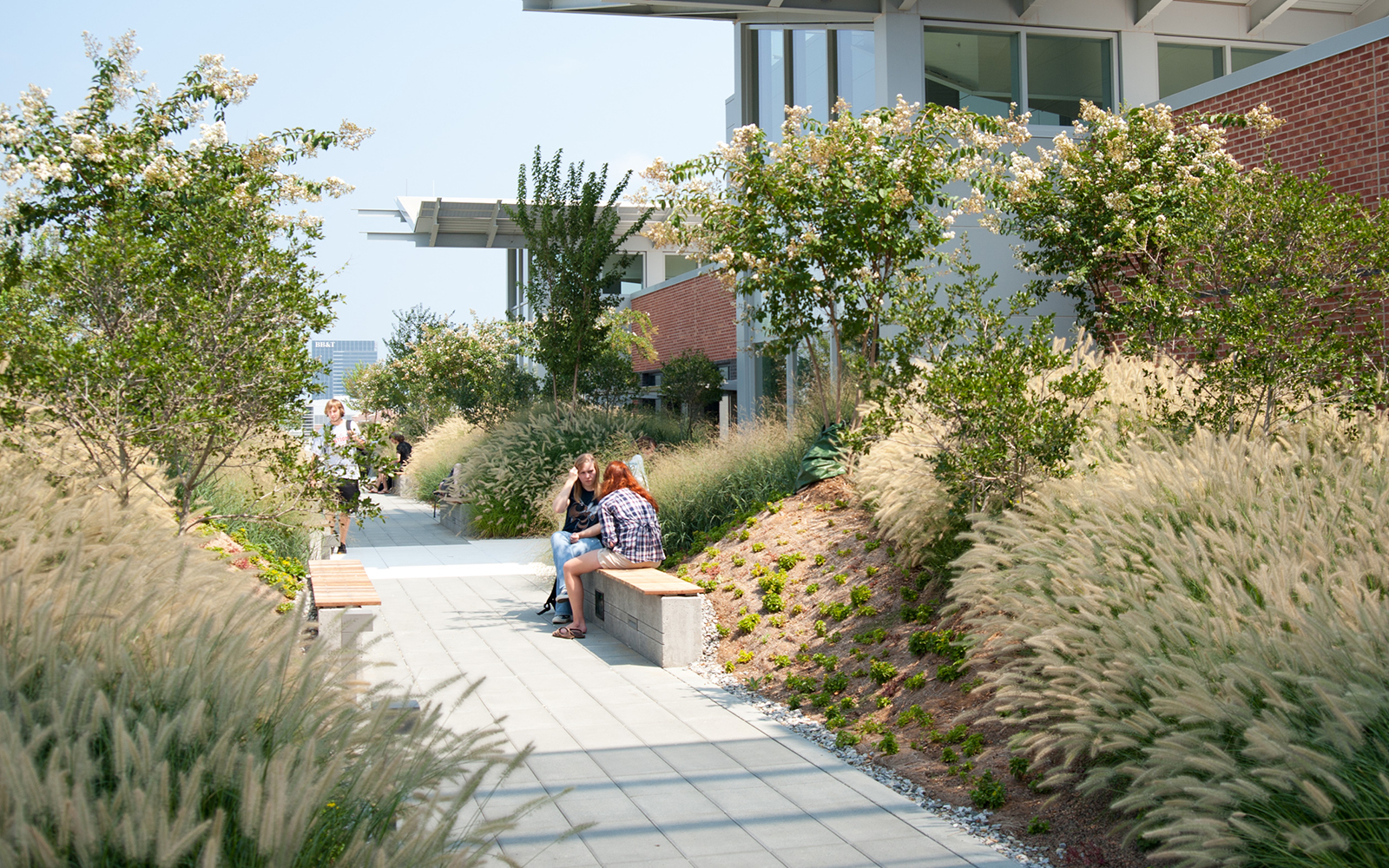 Clough Commons Rooftop