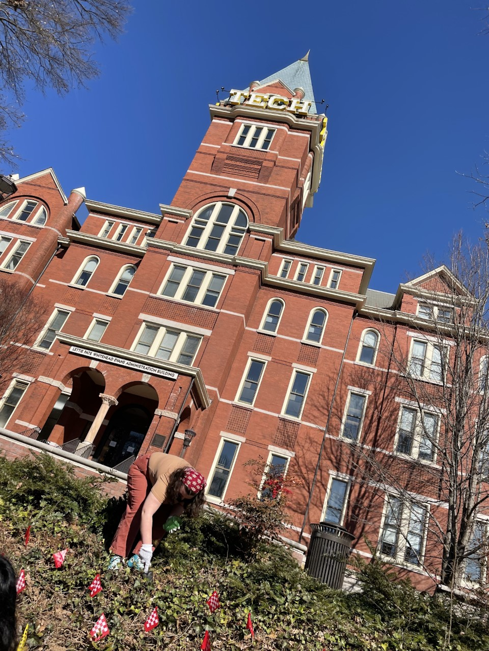 planting daffodils on the hill near Tech Tower