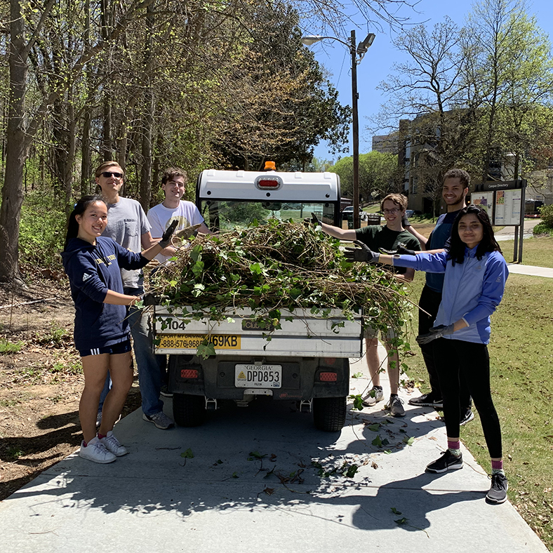 students removing invasive species