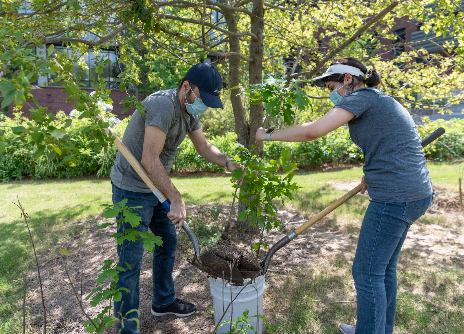 Earth Day tree planting