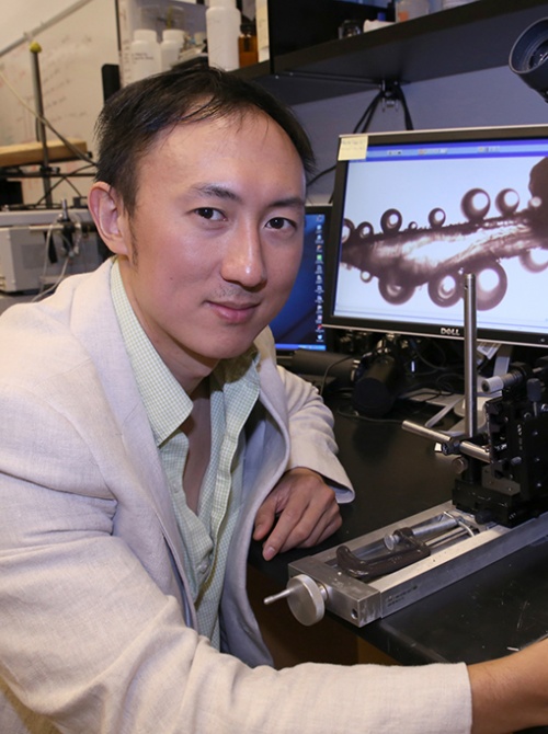 David Hu