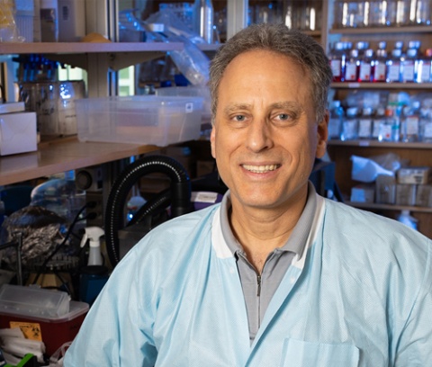 Mark Prausnitz