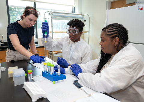Students working in lab at Georgia Tech's Summer Institute