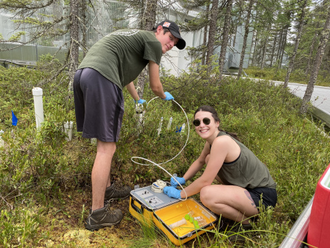 Ph.D. student Katherine Duchesneau sampling porewater inside an experimental SPRUCE chamber.