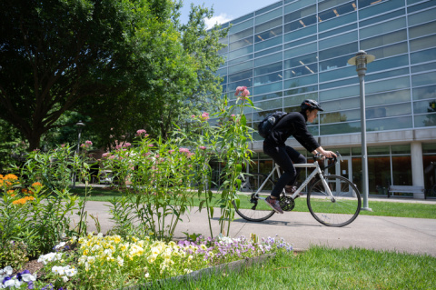A cyclist rides their bike on the Georgia Tech campus. 